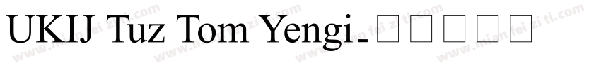 UKIJ Tuz Tom Yengi字体转换